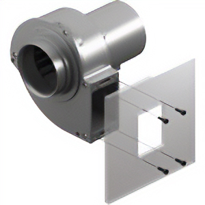 Exhaust Outlet Side Installation (Tapped hole)