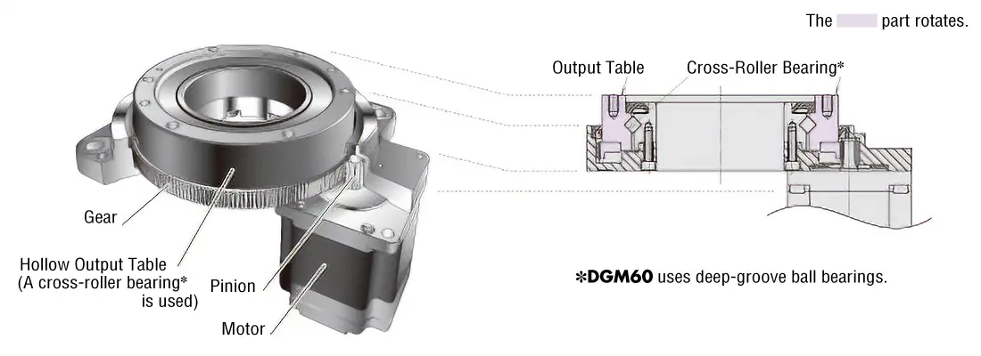 DGII Series Structure