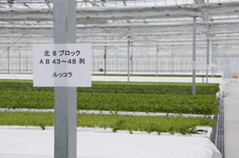 The State of Automated Agricultural Production