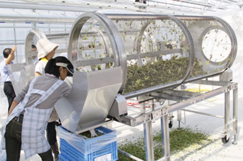 Automatic Sifter for Leaf Dirt Removal