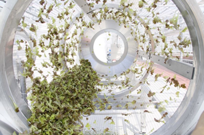 Automatic Sifter for Leaf Dirt Removal Upgrade