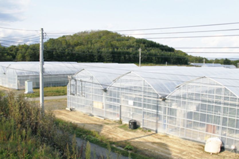Agricultural Automation in the Field