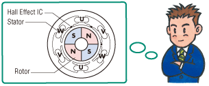 Structure of Brushless Motor